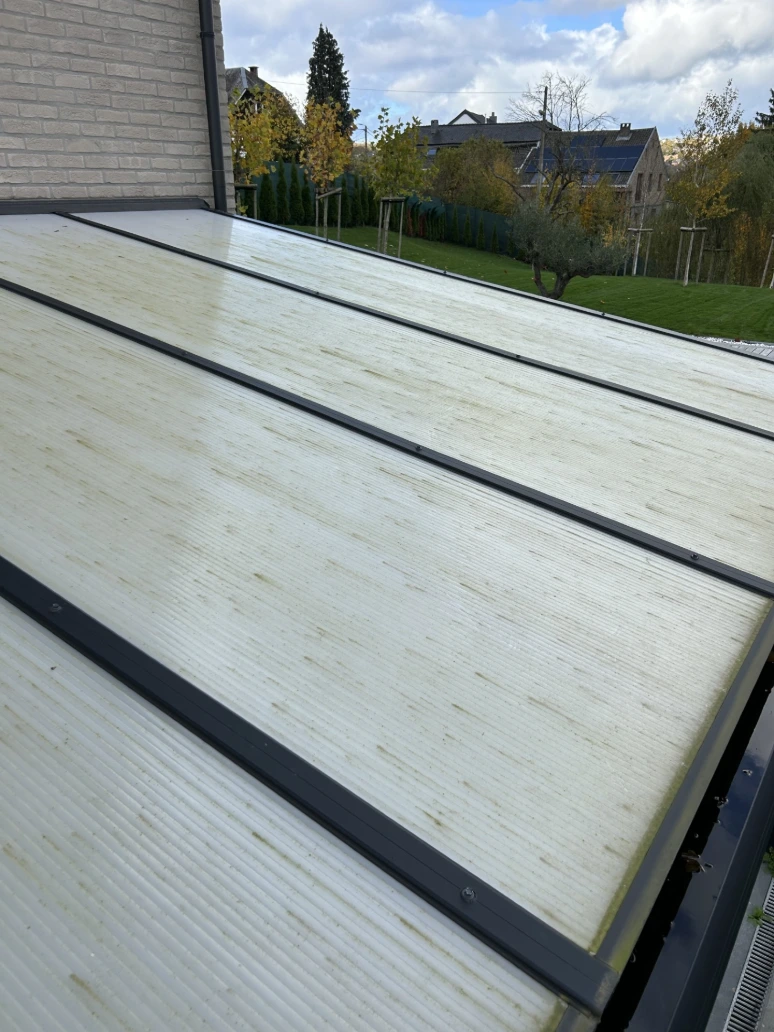 Nettoyage de Pergola